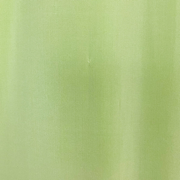 Lime Spandex Slip Dress (S)