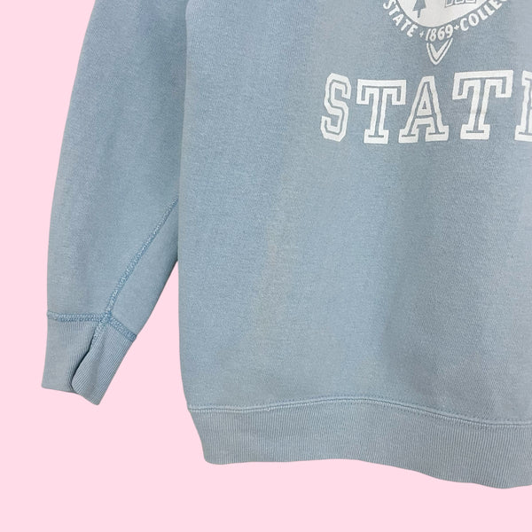 60S CHAMPION ST CLOUD STATE COLLEGE SWEATSHIRT (S)